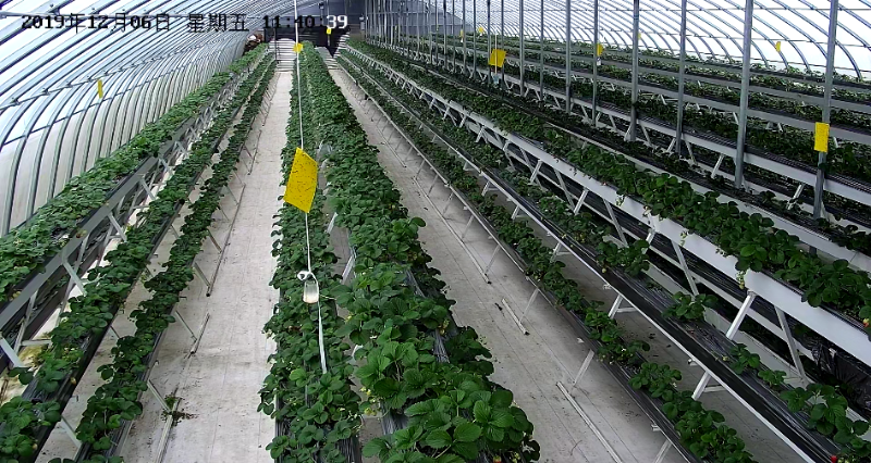 農業(yè)智能大棚監(jiān)控應用